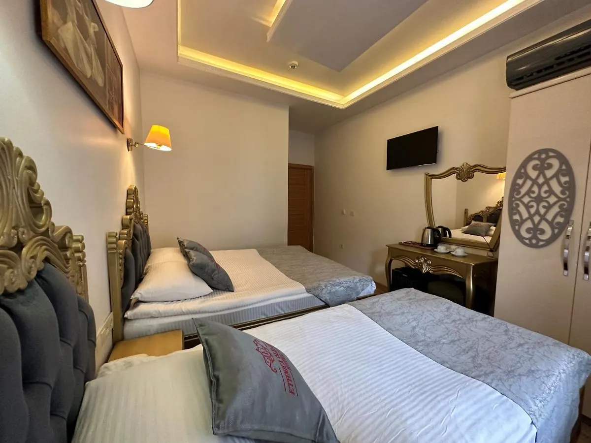 Ethnica Hotel Old City Istanboel 2*,  Turkije