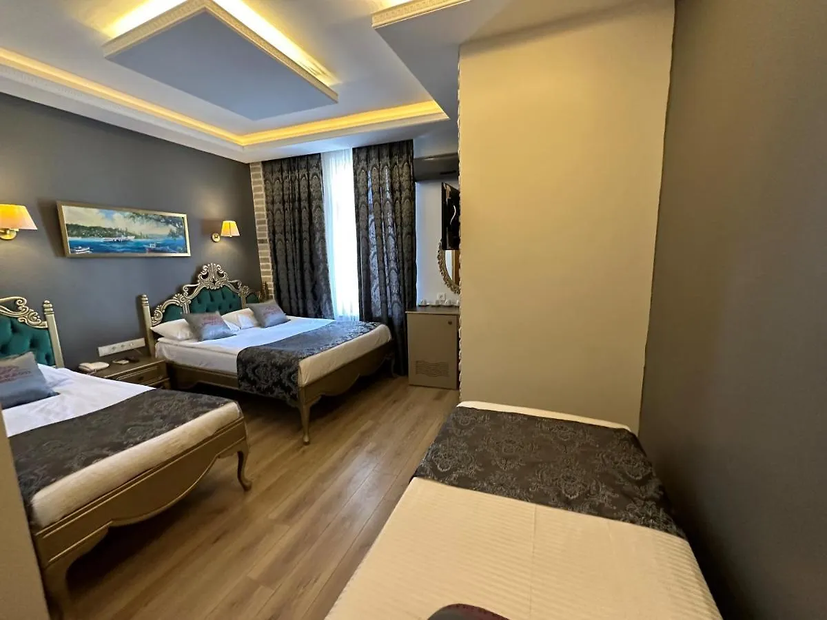 Ethnica Hotel Old City Istanbul 2*,